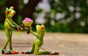 マッチングアプリで結婚を成功させるためのプロフィール作成のコツは？