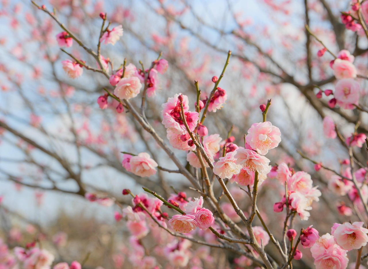 with結婚の交際期間の平均はどのくらい？