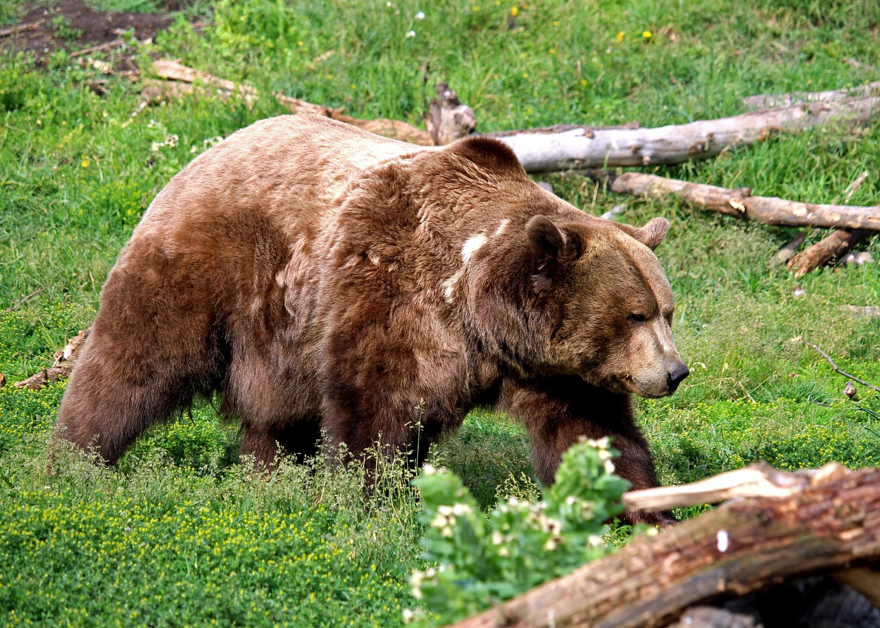 結婚前提の出会いアプリで避けるべきNG行動は？