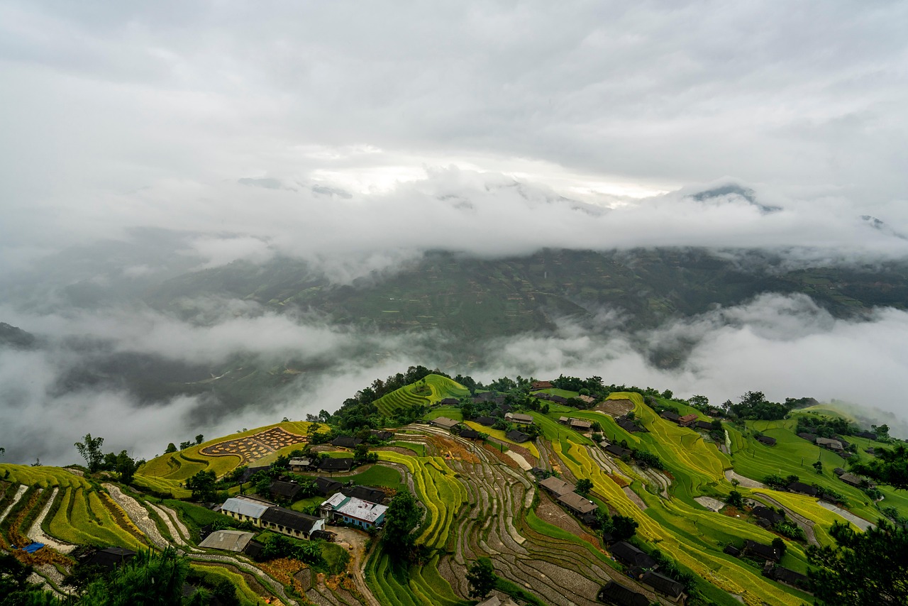 婚活アプリを利用した結婚前提のステップ解説は？